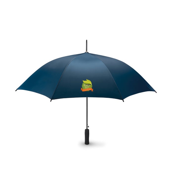 SMALL SWANSEA - Automatik Regenschirm